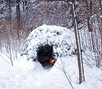 image name: JohnWms_wigwm.jpg